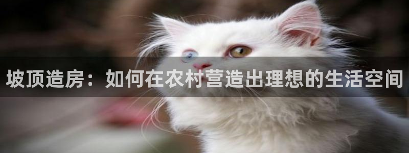 安信12官网：坡顶造房：如何在农村营造出理想的生活空间
