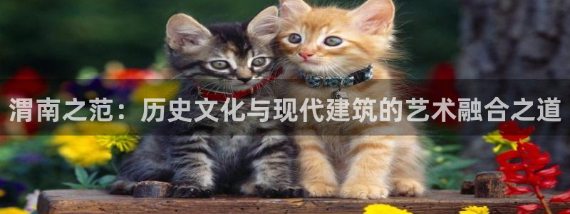 安信12是什么软件：渭南之范：历史文化与现代建筑的艺术融合之道