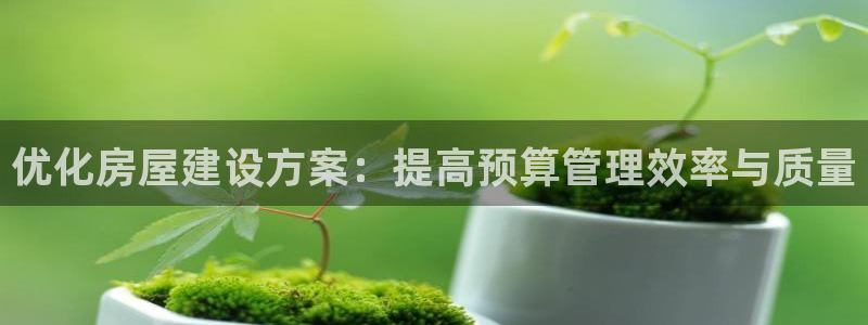 安信12如何开代理：优化房屋建设方案：提高预算管理效率与质量