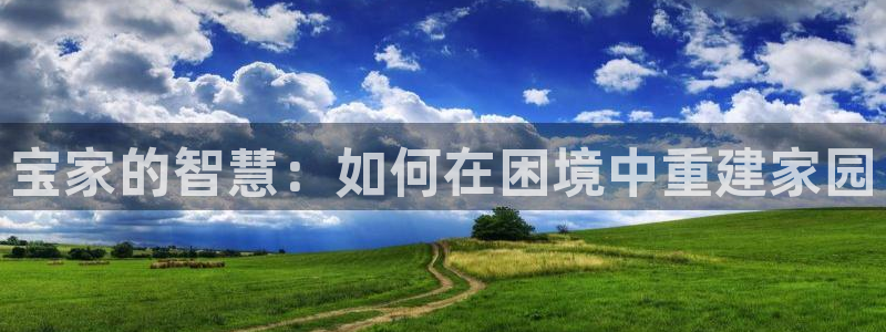 安信12账号：宝家的智慧：如何在困境中重建家园