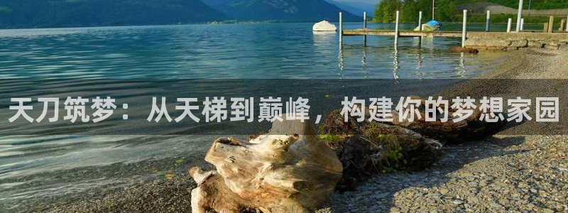 安信esp12k：天刀筑梦：从天梯到巅峰，构建你的梦想家园
