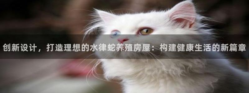 安信可12f代码：创新设计，打造理想的水律蛇养殖房屋：构建健康生活的新篇章