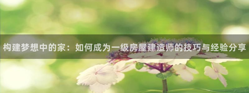 如何注销安信12软件：构建梦想中的家：如何成为一级房屋建造师的技巧与经验分享