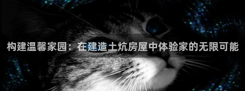 安信12正版下载：构建温馨家园：在建造土炕房屋中体验家的无限可能