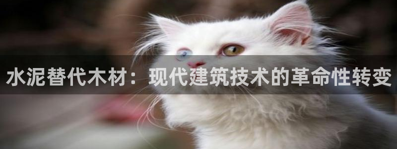 安信12娱乐招商探索空间：水泥替代木材：现代建筑技术的革命性转变
