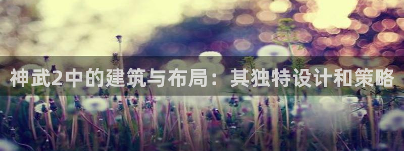 安信12是做什么：神武2中的建筑与布局：其独特设计和策略