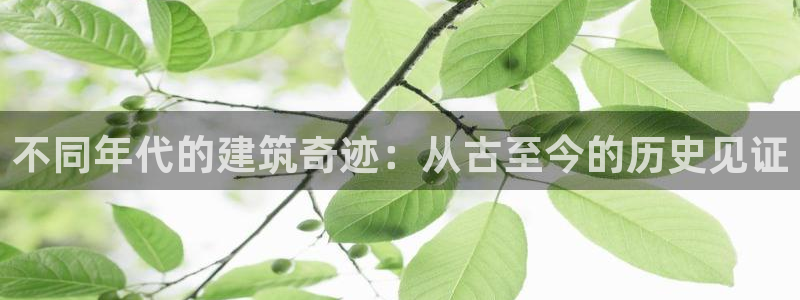 安信12级：不同年代的建筑奇迹：从古至今的历史见证