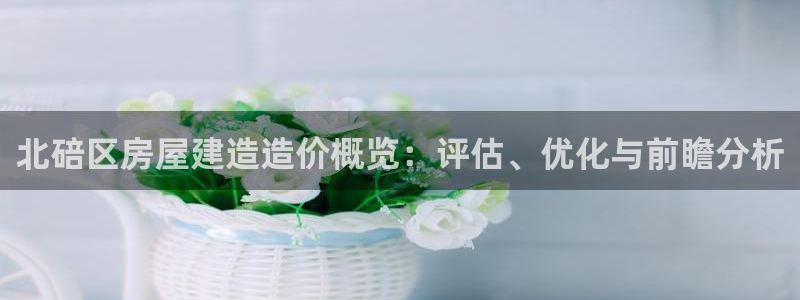 安信12级大众：北碚区房屋建造造价概览：评估、优化与前瞻分析