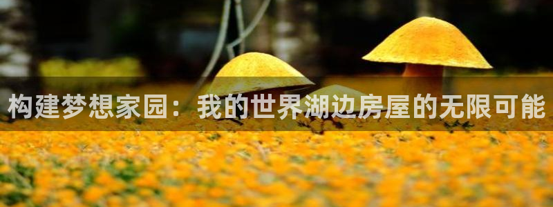 安信4特邀55 12：构建梦想家园：我的世界湖边房屋的无限可能
