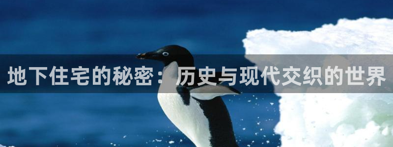 安信12账号：地下住宅的秘密：历史与现代交织的世界