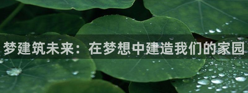 安信信托12 期：梦建筑未来：在梦想中建造我们的家园