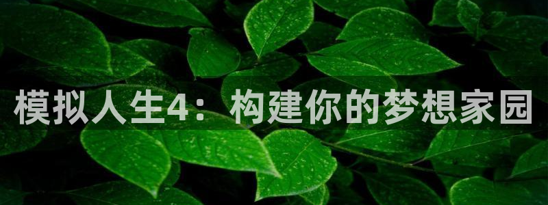 安信可12f代码：模拟人生4：构建你的梦想家园