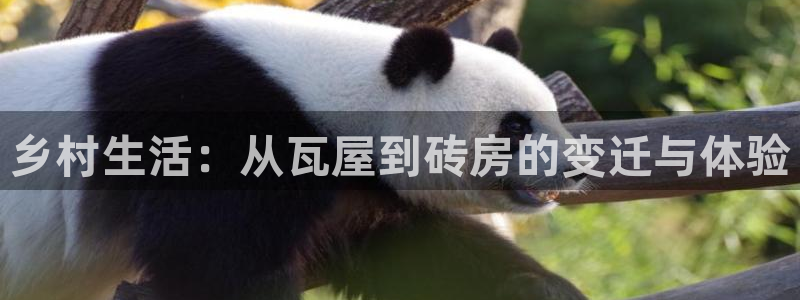 安信证券 12位：乡村生活：从瓦屋到砖房的变迁与体验