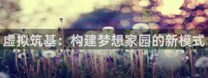 安信12是正规还是仿：虚拟筑基：构建梦想家园的新模式