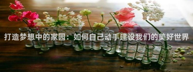 安信可esp-12：打造梦想中的家园：如何自己动手建设我们的美好世界