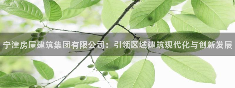 安信cw12系列：宁津房屋建筑集团有限公司：引领区域建筑现代化与创新发展