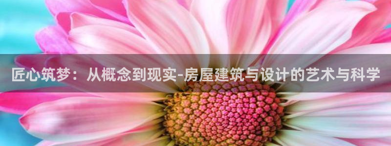 安信12月金股：匠心筑梦：从概念到现实-房屋建筑与设计的艺术与科学