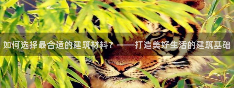 安信12注册：如何选择最合适的建筑材料？——打造美好生活的建筑基础