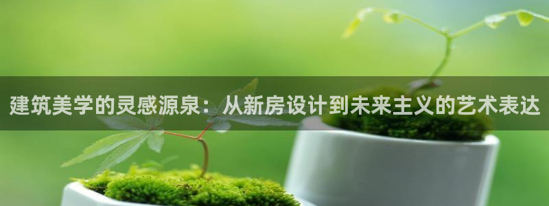 安信12娱乐开户：建筑美学的灵感源泉：从新房设计到未来主义的艺术表达