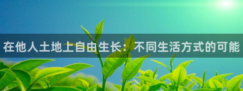 安信安盈12最新消息：在他人土地上自由生长：不同生活方式的可能