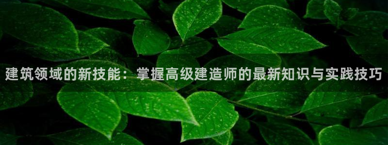 安信12娱乐开户：建筑领域的新技能：掌握高级建造师的最新知识与实践技巧