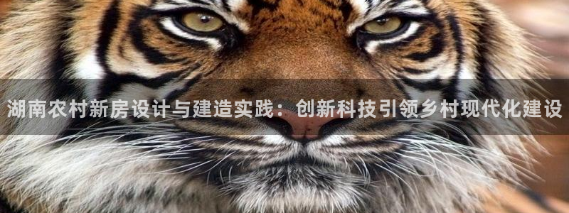 安信12周年庆典：湖南农村新房设计与建造实践：创新科技引领乡村现代化建设