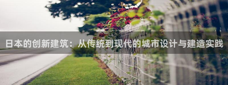 安信可esp-12：日本的创新建筑：从传统到现代的城市设计与建造实践