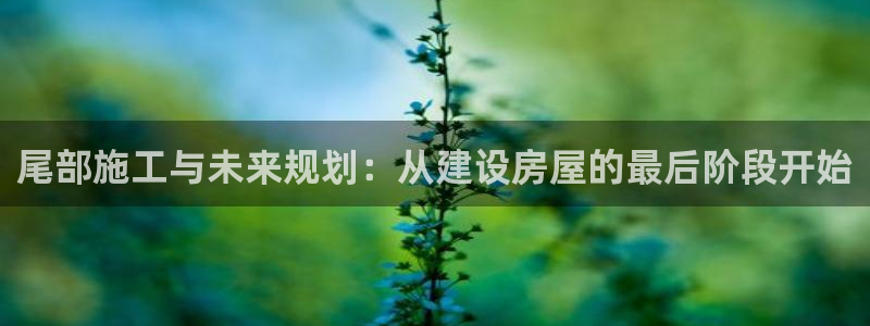 安信12娱乐平台：尾部施工与未来规划：从建设房屋的最后阶段开始