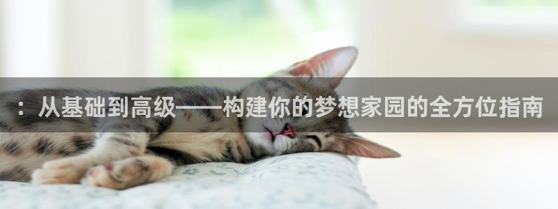安信cwa12：：从基础到高级——构建你的梦想家园的全方位指南