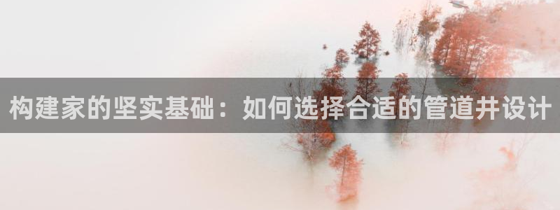 安信12是正轨网站吗：构建家的坚实基础：如何选择合适的管道井设计