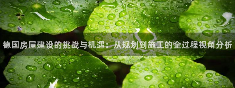 安信esp12：德国房屋建设的挑战与机遇：从规划到施工的全过程视角分析