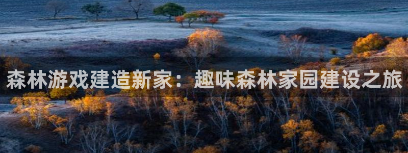 安信12级灯牌：森林游戏建造新家：趣味森林家园建设之旅
