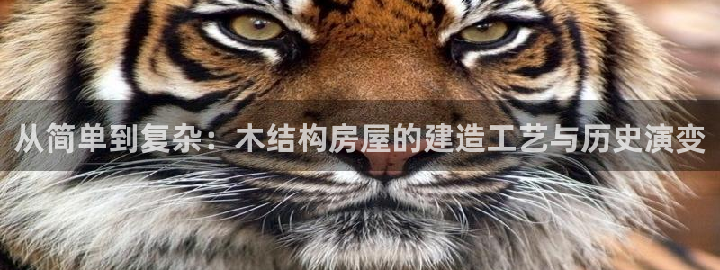 安信可12f代码：从简单到复杂：木结构房屋的建造工艺与历史演变