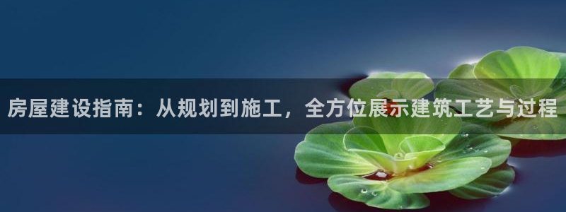 安信12主管：房屋建设指南：从规划到施工，全方位展示建筑工艺与过程