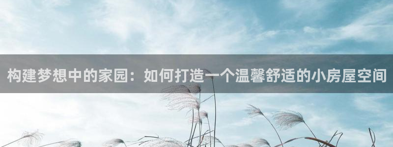 安信312 12：构建梦想中的家园：如何打造一个温馨舒适的小房屋空间