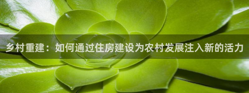 安信娱乐12登录地址：乡村重建：如何通过住房建设为农村发展注入新的活力