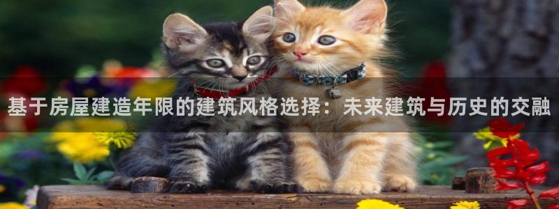 安信12软件介绍：基于房屋建造年限的建筑风格选择：未来建筑与历史的交融