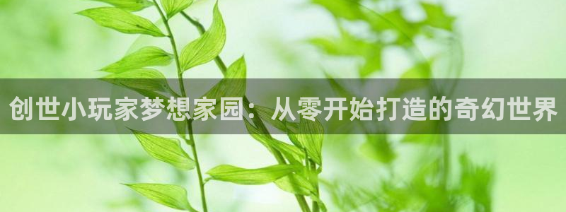 安信12彩票在线网址：创世小玩家梦想家园：从零开始打造的奇幻世界