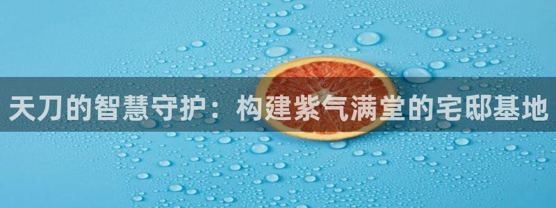 安信12是什么软件：天刀的智慧守护：构建紫气满堂的宅邸基地
