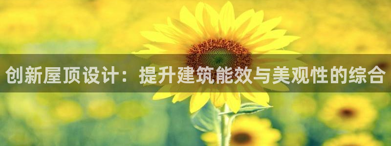 安信12包赔：创新屋顶设计：提升建筑能效与美观性的综合