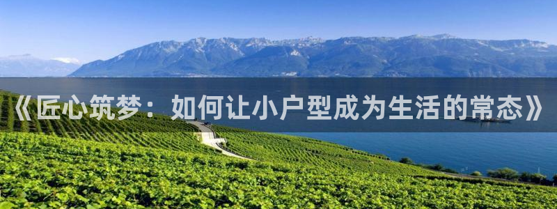 安信12彩票：《匠心筑梦：如何让小户型成为生活的常态》