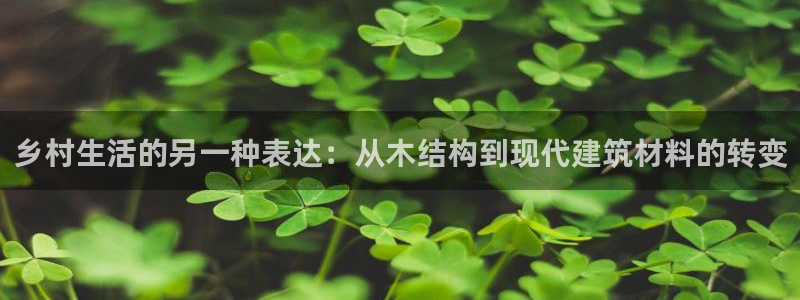 安信证券手机壳12：乡村生活的另一种表达：从木结构到现代建筑材料的转变