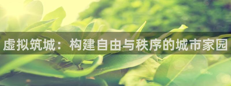 安信12级大众：虚拟筑城：构建自由与秩序的城市家园