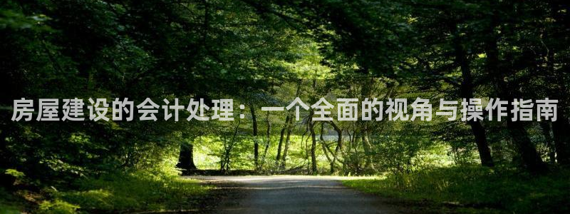安信12级大众：房屋建设的会计处理：一个全面的视角与操作指南
