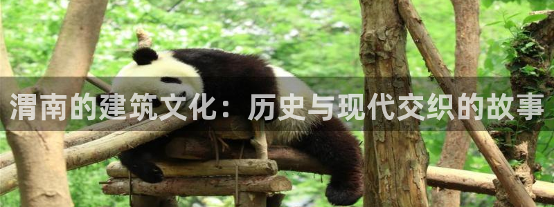 安信12注册登录平台：渭南的建筑文化：历史与现代交织的故事