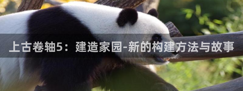 安立信T12测评：上古卷轴5：建造家园-新的构建方法与故事