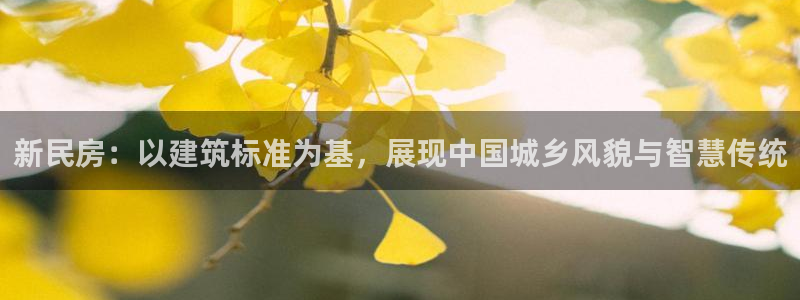 安信12赛车：新民房：以建筑标准为基，展现中国城乡风貌与智慧传统