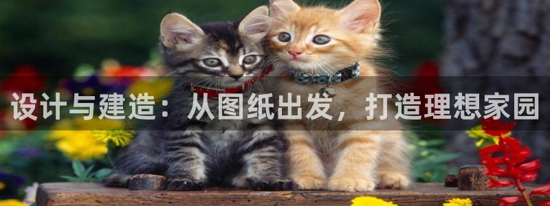安信安赢12号：设计与建造：从图纸出发，打造理想家园