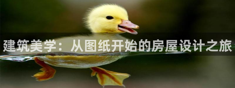 下载安信12：建筑美学：从图纸开始的房屋设计之旅