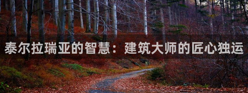 安信4娱乐去55 12：泰尔拉瑞亚的智慧：建筑大师的匠心独运